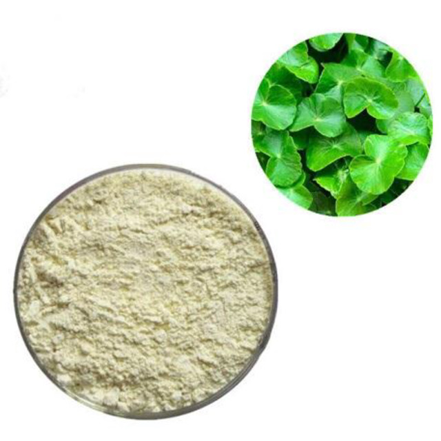ما هي فوائد وآثار مستخلص Gotu Kola؟