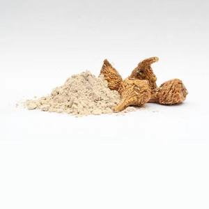 استخراج جذر Maca الجاف