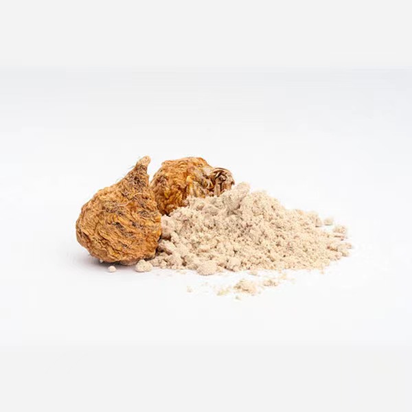 استخراج جذر Maca الجاف